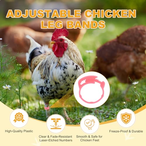 M METERXITY 50-Pack Adjustable Chickens Leg Bands, 17-22 mm Plastic Poultry Identification Chicken Leg Rings for Turkey/Duck/Goose/Chicks, Colorful Numbered Foot Clip on Tags [Pink] - color: Pink