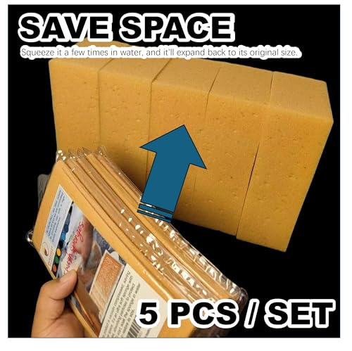 Car Wash Sponges, Extra Soft Coral, 8.3x4.38x2.8 inches,