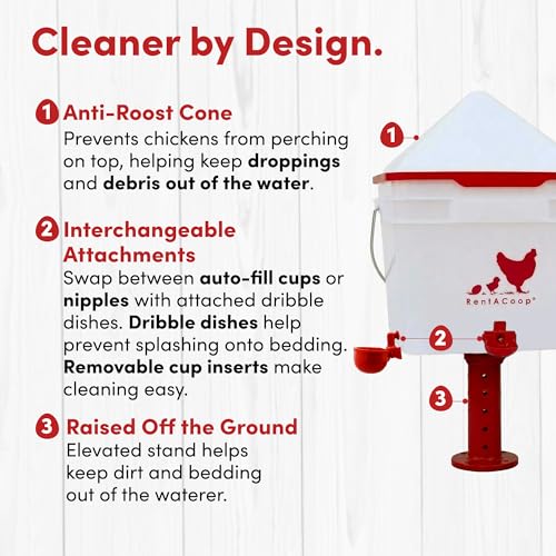 RentACoop Chick2Chicken 10lb Feeder & 2 Gallon Waterer Set - size: Set with Nipples and Auto-Refill Cups