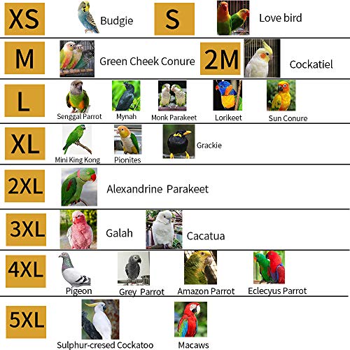 RRRIOT Parrot Neck Collar Pet Anti-bite Picking Feather Healing Protective Neck Cover Collar for Birds (2XL)