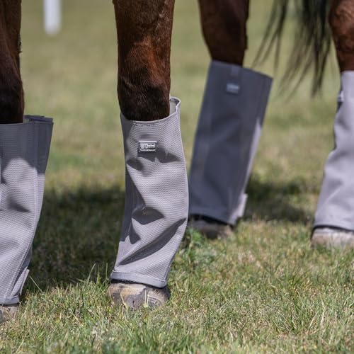 Cashel Crusader Leg Guards (Set of 4) - color: Grey