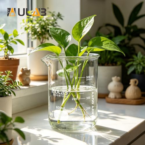 ULAB Scientific Glass Beaker Set, Vol.100ml, Shot Glass, 3.3 Borosilicate Griffin Low Form with Printed Graduation, Pack of 6, UBG1014 - style: Vol.100ml,Pack of 6