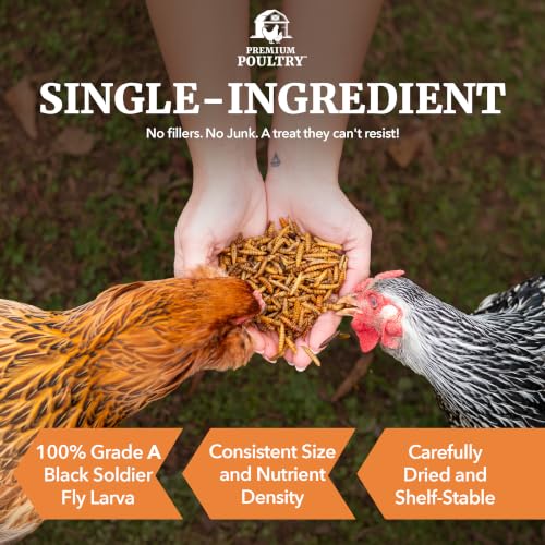 Black Soldier Fly Larvae for Chickens – High Calcium Chicken Treats for Strong Eggshells & Egg Production – Dried BSFL Grubs Poultry Feed for Ducks, Wild Birds & Backyard Flocks, 10lb - size: 10lb, style: Soldier Fly Larvae