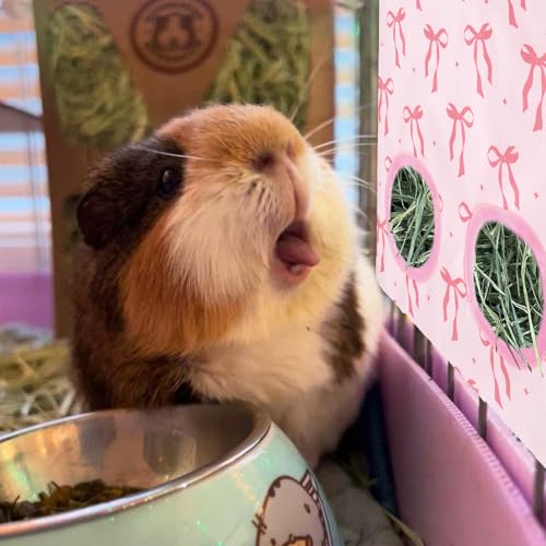 JarThenaAMCS 2Pcs Rabbit Hay Feeder Bag with 2 Holes Pink Bow Guinea Pig Hanging Hay Feeding Bag Storage Dispenser for Chinchilla Hamster Bunny Small Animal Pet - size: 11.5 x 9 inch