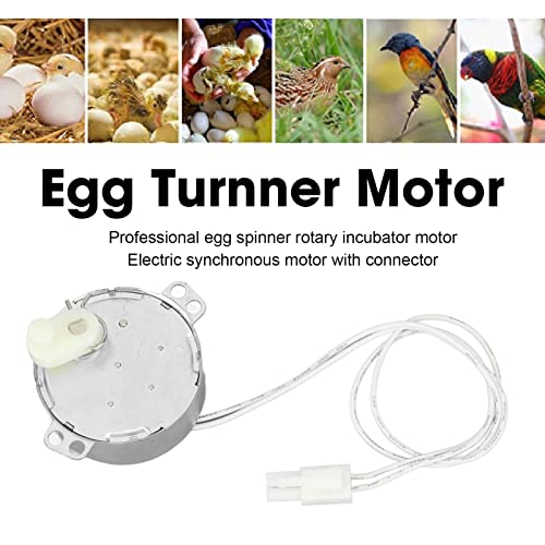 Replacement Egg Turner Motor, 4W Egg Turner Rotator Incubator Motor Electric Synchron Motor with Connector for Chickens Ducks Goose Birds Egg Hatching (100-120v)