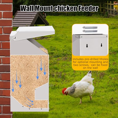 Automatic Chicken Feeder 10lb Hanging Feeder Trough with Scoop | Galvanized Metal Gravity Chicken Feeder, Duck Feeder, Chicken Feeder Trough with Lid for Chickens Ducks Goose Poultry