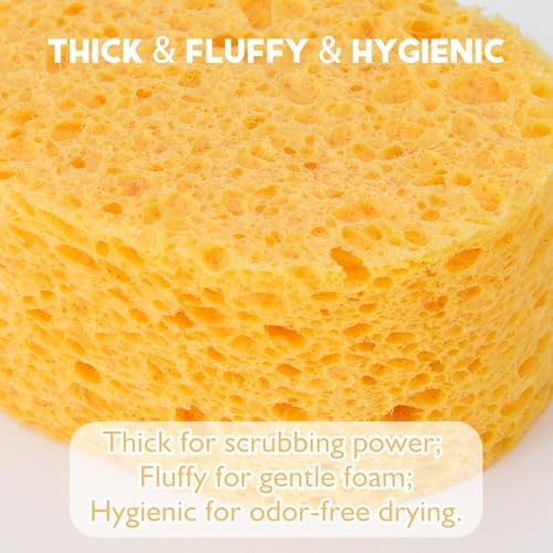 8 Pack Cellulose Sponges, Replacement Sponge Scrubber Heads for Wine Glasses Coffee Mugs Dishes, Thick & Fluffy Highly Absorbent, Quick-Dry - style: 8 Sponges