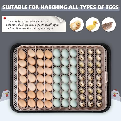Sailnovo 70 Egg Incubator for Hatching Eggs with Automatic Turning and Auto Humidification, Temperature Control, Egg Candler, Incubator for Chicken Duck Quail Eggs, 23.23'' x 16.34'' x 7.09''