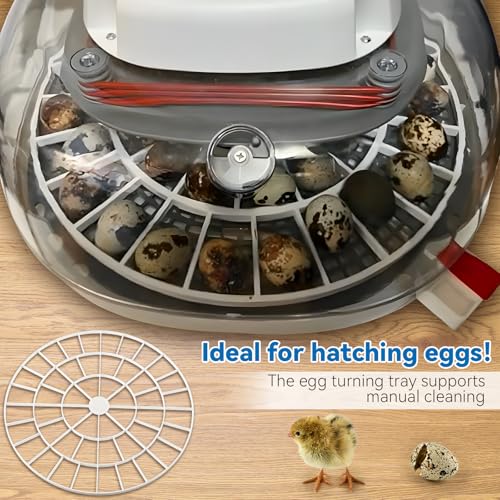 Enhon 48 Egg Tray Compatible with Nurture Right 360 Incubator, Plastic Egg Turner Tray Replacement for Hatching Small Quail Bird Chicken Goose Turkey, Hand Washable, Various Sizes - size: 12.2"L x 12.2"W x 0.8"H