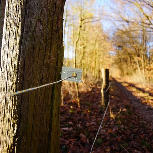 50 Pack Electric Fence Insulator Porcelain Insulator, Heavy Duty Ceramic Lag Screw Insulator Porcelain Lag Screw Insulator, Suitable for Wood Post Wire Farm Fencing Supplies - style: 50 PCS