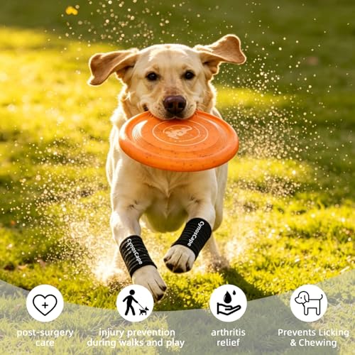 Dog Leg Brace – Front & Rear Leg Support with Compression Wrap for Canine Joint Stability - size: Medium-Upgrade