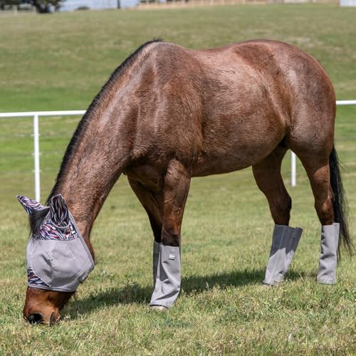 Cashel Crusader Leg Guards (Set of 4) - color: Grey