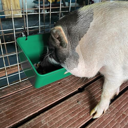 Large Feed Trough and Goat Feeder - 2 Pack Hanging Feeder with Clips, Waterer Bucket, Fence Feed Trough, Goat Supplies, 10 Quart - color: Black