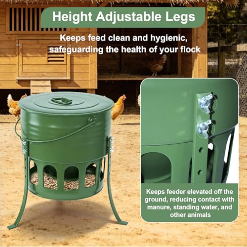 30lbs Metal 12-Port No-Waste Chicken Feeder with Legs | Chicken & Poultry Feeder with Powder-Coated Rust-Proof Finish, Ideal for Chickens Ducks Geese, Backyard Farms, Avocado Green - color: Avocado Green