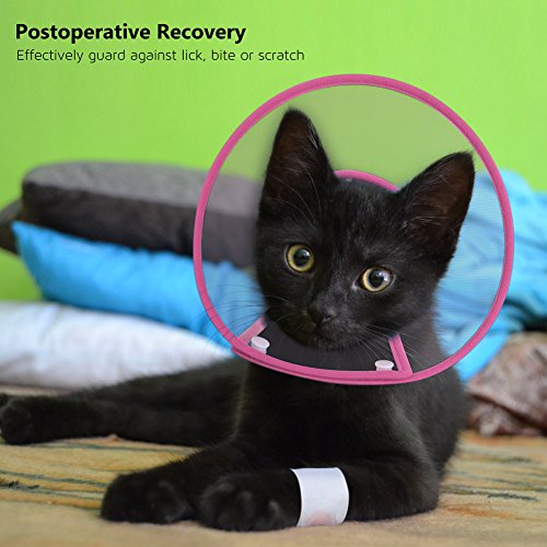 Cat Cone Collar, to Stop Licking, Recovery Elizabethan After Surgery, Clear Soft Neck E-Collar, Not Block Vision, for Kitten Puppy Dog Pet in Surgery Remedy - S in Rose | Stop Licking, Soft Cone, Clear Vision, Soft Padded Neck, Recovery Collar, After Surg
