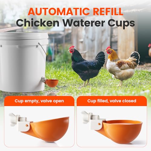 Eggluuz Chicken Waterer Cups, 6 Pack Automatic Chickens Water Cups for Poultry Orange