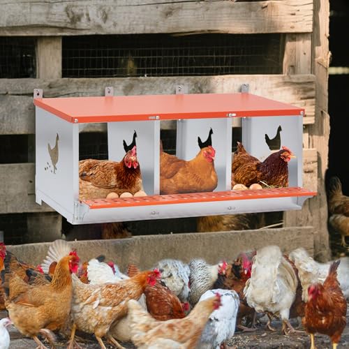 3 Compartment Galvanized Steel Nesting Box Wall Mount | Galvanized Steel Rustproof & Weather Resistant|Vented Design Keeps Interior Dry & Odor Free|Tool-Free Assembly - size: 31.8"L x 17.0"W x 15.0"H