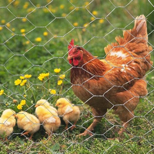 20GA Galvanized 18in x 25ft x 2in Mesh Chicken Wire Hexagonal Poultry Netting - size: 18"x25'- 2" 20GA