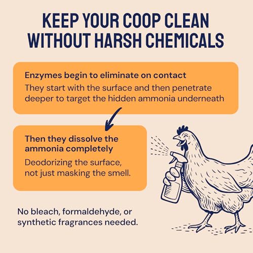 Hatortempt Chicken Coop Deodorizer, Odor Eliminator Cleaner Spray, 1 Gallon | USA Made Coop Refresher For Chickens - Ammonia Chicken Coop Cleaner for Roosting Bars & Feeders - Unscented Coop Accessories - size: 128 Fl Oz (Pack of 1)