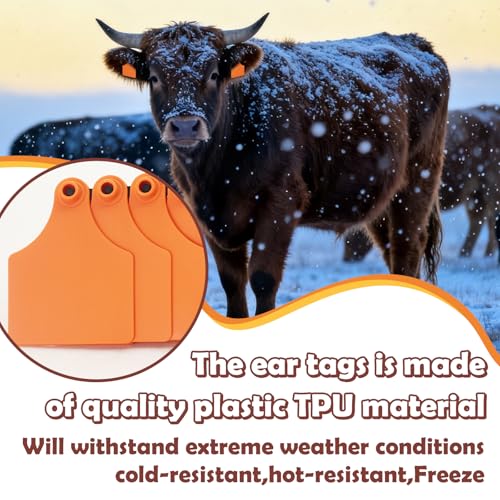 Blank Cattle Ear Tags 100PCS TPU Oversize 4.1x3 Inch Livestock Tags | Identification Tags for Cows Calves Cattle Goats Sheep Pigs Hog Fade Resistant Farm Animal Management (Orange) - style: Orange