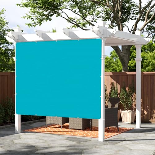 SUNNY GUARD Shade Cloth 6x8 FT HC-046 Sun Shade Cover Tarp, Turquoise | 90% UV Block HDPE Sun Shade Screen Fabric Tarp with Grommets for Pergola, Backyard & Garden, Custom Sizes - color: Turquoise, size: 0 6'×0 8'