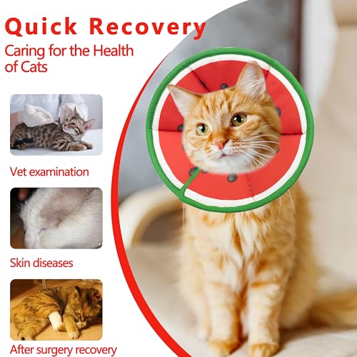 Soft Adjustable Cat Cone Collar, Comfortable Cat Recovery Collar | Suitable for Various Types of Cats,Elizabethan Neck Protective Collar for Cats After Surgery (Watermelon, Small) - color: Watermelon, size: Small