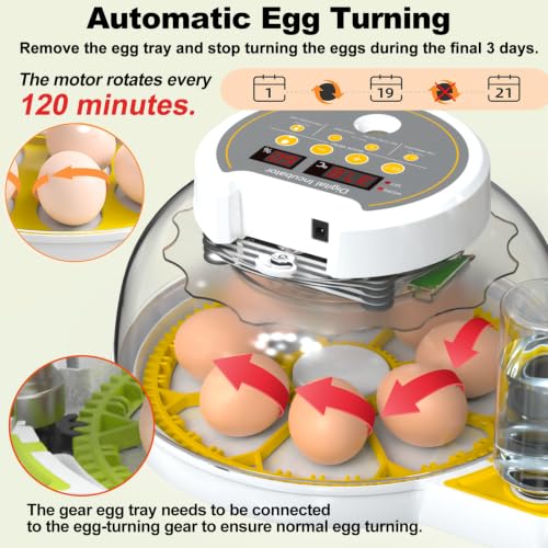 Egg Incubators for Hatching Eggs, 8/30 Chicken Egg Incubator with Automatic Egg Turning, Temperature Control & Humidity Display, Egg Candler, Home Use for Chicken, Duck, Quail - 2 Egg Trays Yellow - color: Yellow