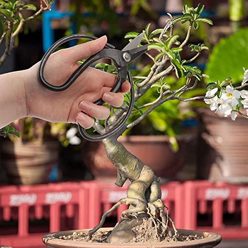 BambooMN Bonsai Basics Set - 7.2" Trimming Shears & 7" Heavy Duty Butterfly Shear - 1 Set - color: Trimming Shear & Butterfly Shear Set, size: 1