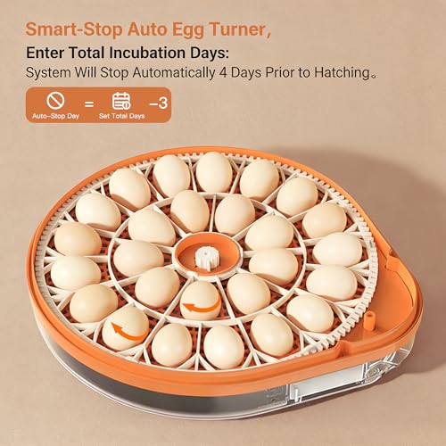 26-59 Egg Incubator,incubators for hatching eggs | AIVoice-Controlled Machine,Temperature & Humidity Control, Built-in Egg Candler, 360° View Clear Lid - color: Orange