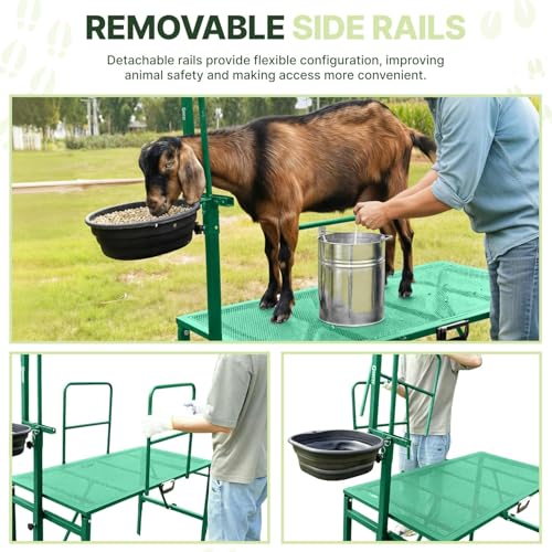 Goat Stand with Adjustable Headpiece & Legs, Goat Milking Stand with Feeder, Rails & Wheels, Stanchion for Grooming & Hoof Trimming, Sheep Stand for Shearing Heavy-Duty Steel Platform, Green - color: GREEN