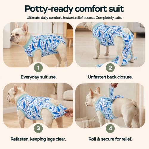 PetWarm Surgical Suit for Dogs After Neuter, Dog Surgery Suit, Cone of Shame Alternatives, Dog Surgical Recovery Onesies Female Male Dogs, Marine Animal Patterns, Blue, XS - color: White Blue, size: X-Small