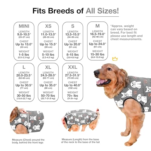 Dog Surgery Recovery Suit, Male Female After Spay Neuter Onesie | Soft Breathable Cotton, Anti-licking Cone Alternative, Protects Stitches & Abdominal Wounds, Patented Clip-up Potty System - color: Silver, size: Mini