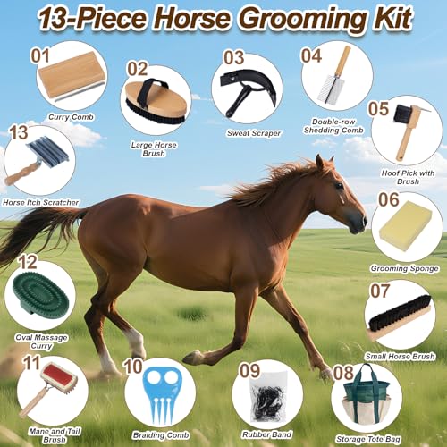 13-Piece Horse Grooming kit for Daily Care,Complete Horse Supplies Set with Wood Brushes, Tack Essentials, Curry Tools, and Practical Horse Accessories for Farm & Stable Use