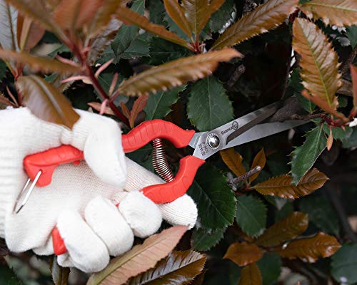 Sanung 2 PACK Multifunctional Thin Fruit Scissors, P-905 Garden Pruner Shears Cutters with Anti-Slip Grip High-Grade Spring Lock Garden Pruner for Garden Fruits Vegetables Plants Flowers