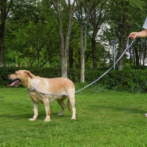 Waterproof Dog Leash with Poop Bag Holder, 5FT/6FT Adjustable Length with 2 Swivel Hooks, Odor-Free & Easy-Clean Dog Lead for Large Medium Small Dogs - color: Purple, size: 5FT - 3/5inch Width