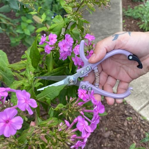 Modern Sprout Pruning Shears - Garden Snips - Herb Scissors - Multi 12-Pack | Lightweight Gardening Tool - Durable Carbon Steel Blade W/Easy-Lock - Gardening Supplies - Flower Cutter - Reusable Holster - color: Multicolor - 12pcs
