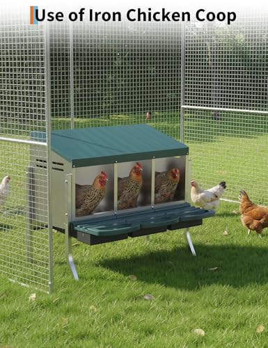 Metal Chicken Nesting Box with Easy-Collect Tray & Lid – 3/4/2x2 Compartment Heavy Duty Roll Away Nesting Boxes for Chickens, Wall Mount or Freestanding, Galvanized Steel Hen Laying Box for Coop