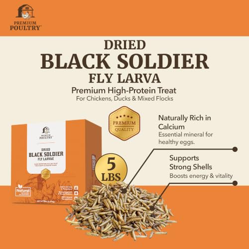Black Soldier Fly Larvae for Chickens – High Calcium Chicken Treats for Strong Eggshells & Egg Production – Dried BSFL Grubs Poultry Feed for Ducks, Wild Birds & Backyard Flocks, 20lb - size: 20lb, style: Soldier Fly Larvae