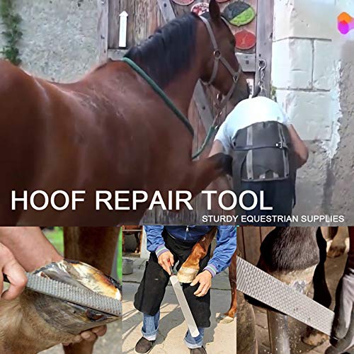 14 Inch Horse Farrier Tool Kits,7 Piece Professional Hoof Trimming Kit with Hoof Nippers, Rasp, Shear Cutter, Hoof Knife, Pick, Gloves, Storage Bag, for Horse Goat Pig Hoof Care - size: 14 Inch