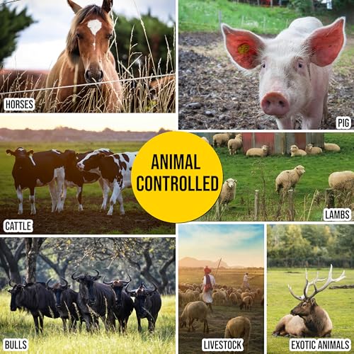Electric Fence Wire, Thick & Highly Conductive Tinned Copper, 1/4inX1000FT | 40X more conductivity than standard stainless steel, Tinned Copper Strands, Ideal for Temporary Pastures & Livestock Fencing