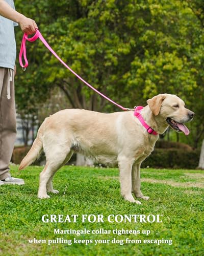 Waterproof Martingale Collar for Dogs,Easy to Clean Dog Collars with Safety Quick Release Buckle,Rubber Collar for Medium Large Dogs Walking Training (Pink, L (19.6-25.9inch)) - color: Pink, size: L (19.6-25.9inch)