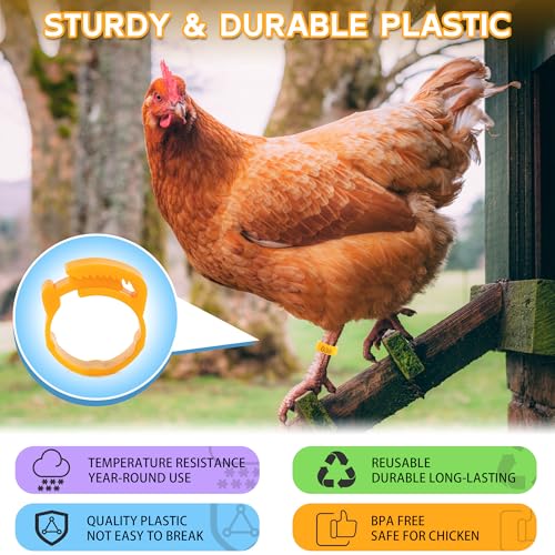 100pcs Chicken Leg Bands, 14-22mm Adjustable Poultry Tags, Durable Multi-Colored Hens Identification Leg Rings, Chicken Coop Accessories for Chickens, Chick, Ducks, Goose, Turkey, Birds