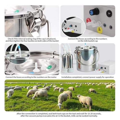 Plug-in 3L Pulsating Vacuum Pump Goat Milking Machine | with 304 Stainless Steel Milk Bucket, Simple Assembly, Uniform Pulsation Frequency, Convenient Cleaning
