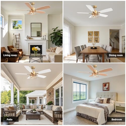 52 Inch White and Gold Ceiling Fan with Lights Modern Fandelier | Industrial Caged Fandalier, Farmhouse Rustic Chandelier Light for Living Room Bedroom, Reversible 6 Speeds, Remote Control - color: Gold, size: 52 Inch