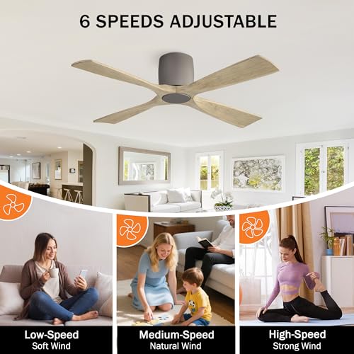 LEDLUX 48" Flush Mount Ceiling Fan without Light, 4 Reversible Blades, 6-Speed Noiseless DC Motor, Low Profile Hugger Ceiling Fan No Light for Living Room, Kitchen, Bedroom, Graphite and Gray - color: Graphite and Gray