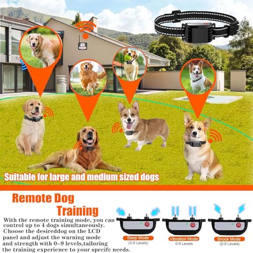 Dog Wireless Fence & Remote Shock Dog Training Collar 2-in-1, Electric Dog Fence, Adjustable Warning Strength & Range Sizes, Rechargeable Pet Boundary Containment System for 1/2/3/4 Dogs,for3dogs - size: for3dogs
