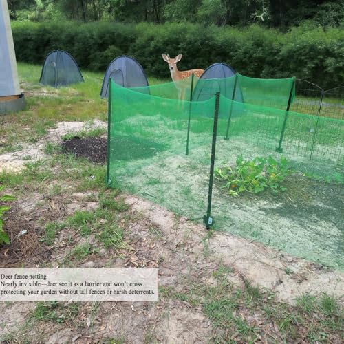 Deer Fence Netting 5x100 FT, Heavy Duty Plastic Mesh Fence Roll | 1/2" Temporary Animal Barrier Fencing For Deer, Birds, Chicken, Poultry, Fruit Trees, Construction & Garden Protection, Green - size: 5x100 FT