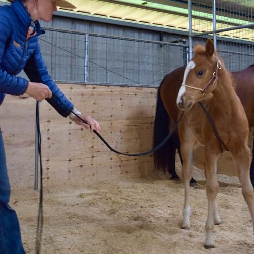 Weaver Leather Kalley Krickeberg Horseman`s Leather Foal Halter