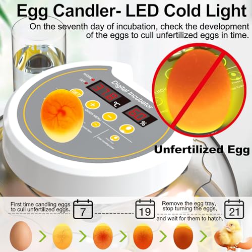 Egg Incubators for Hatching Eggs, 8/30 Chicken Egg Incubator with Automatic Egg Turning, Temperature Control & Humidity Display, Egg Candler, Home Use for Chicken, Duck, Quail - 2 Egg Trays Yellow - color: Yellow