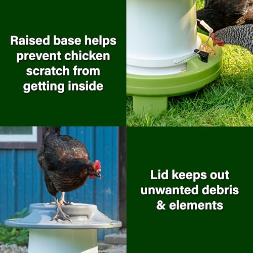 American Home Self-Filling Farmstead Chicken Feeder, 30 lb Capacity, Fits Standard 5-Gallon Bucket, Outdoor Weather-Resistant Design - size: Feeder